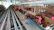 Close-up of vibrant, healthy chickens pecking feed in a clean poultry house.