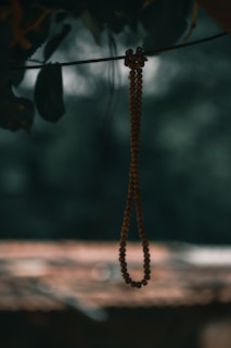 Close-up of a string of rudraksh mala beads resting on a wooden table with soft natural light.