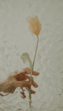 a painting of a person's hand holding a flower
