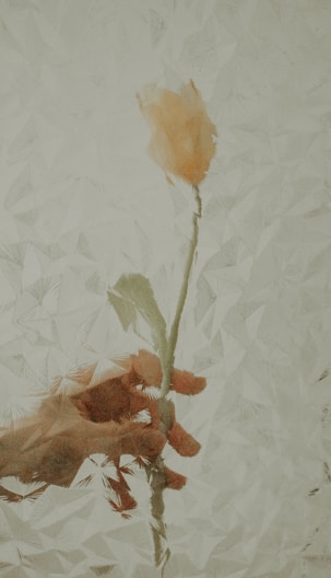 a painting of a person's hand holding a flower