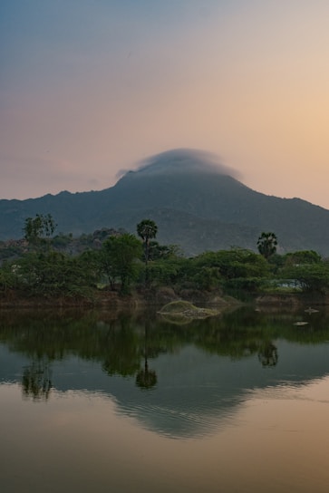 A serene mountain landscape with soft natural light filtering through forest trees, reflecting calm strength.