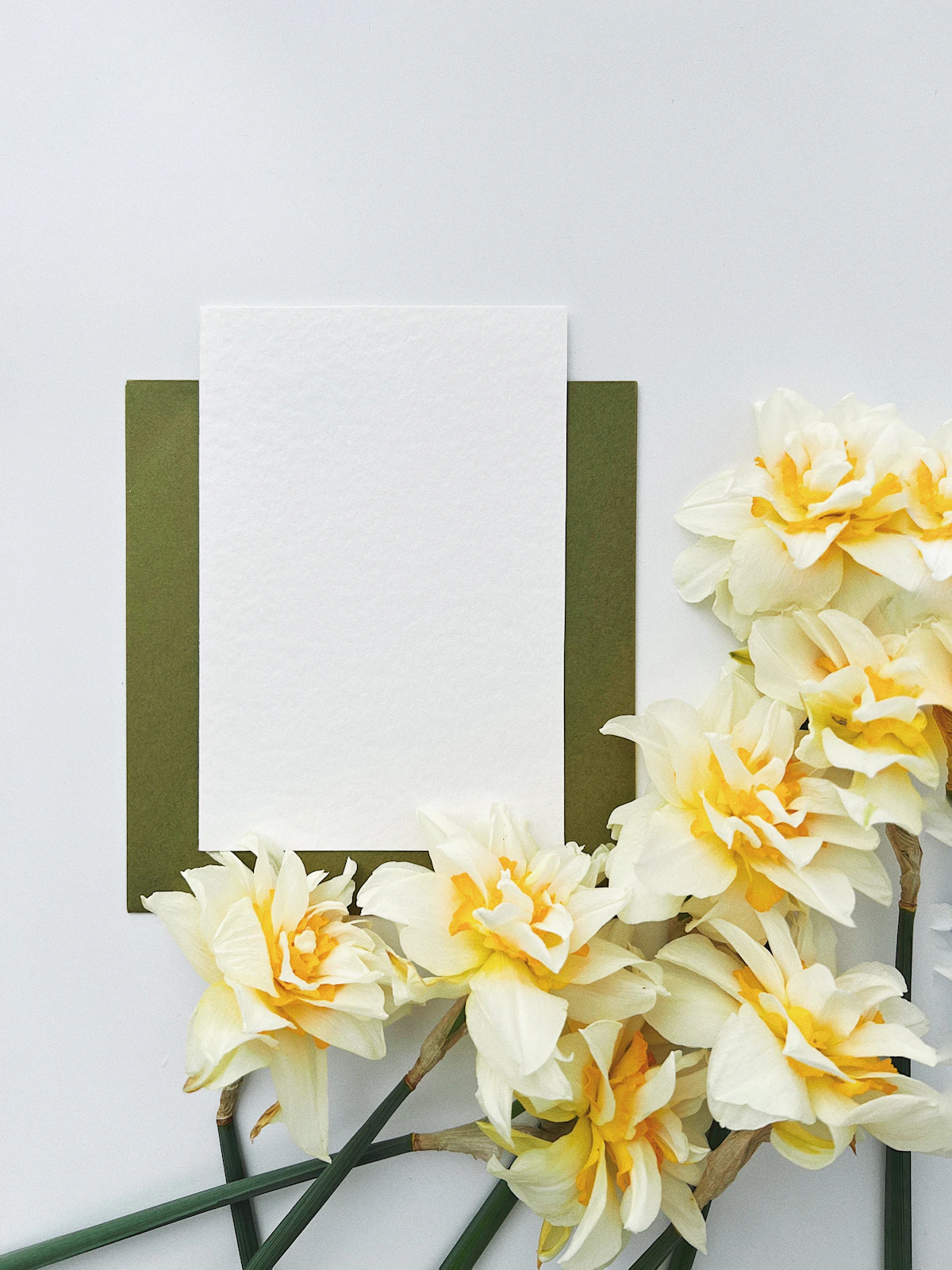 Blank sympathy card with flowers for a friend grieving the loss of a dog