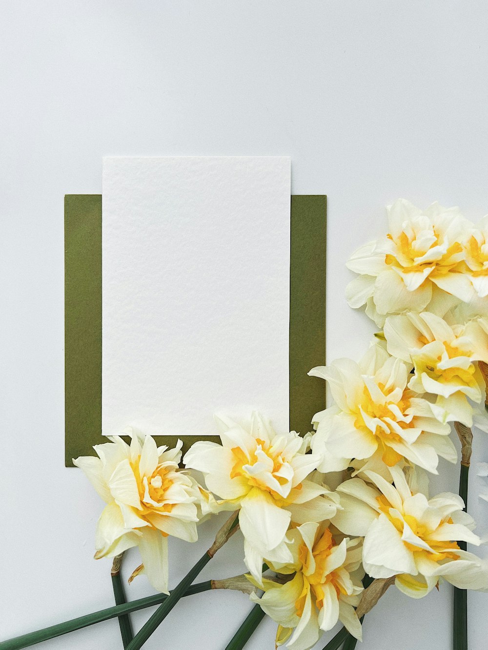 a bunch of flowers sitting next to a blank card