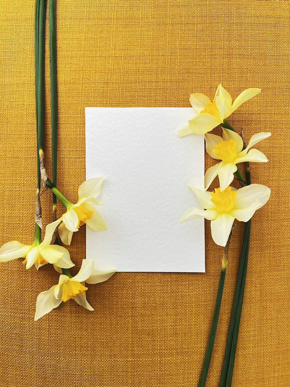 a piece of paper with some yellow flowers on it
