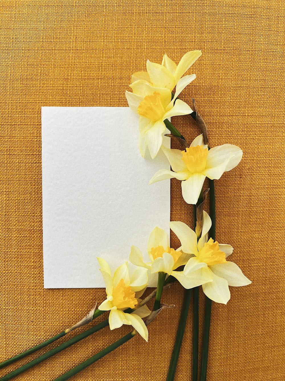 a bunch of flowers sitting on top of a piece of paper