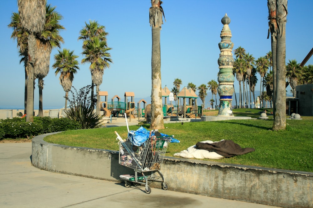 a shopping cart sitting on the side of a road next to palm trees