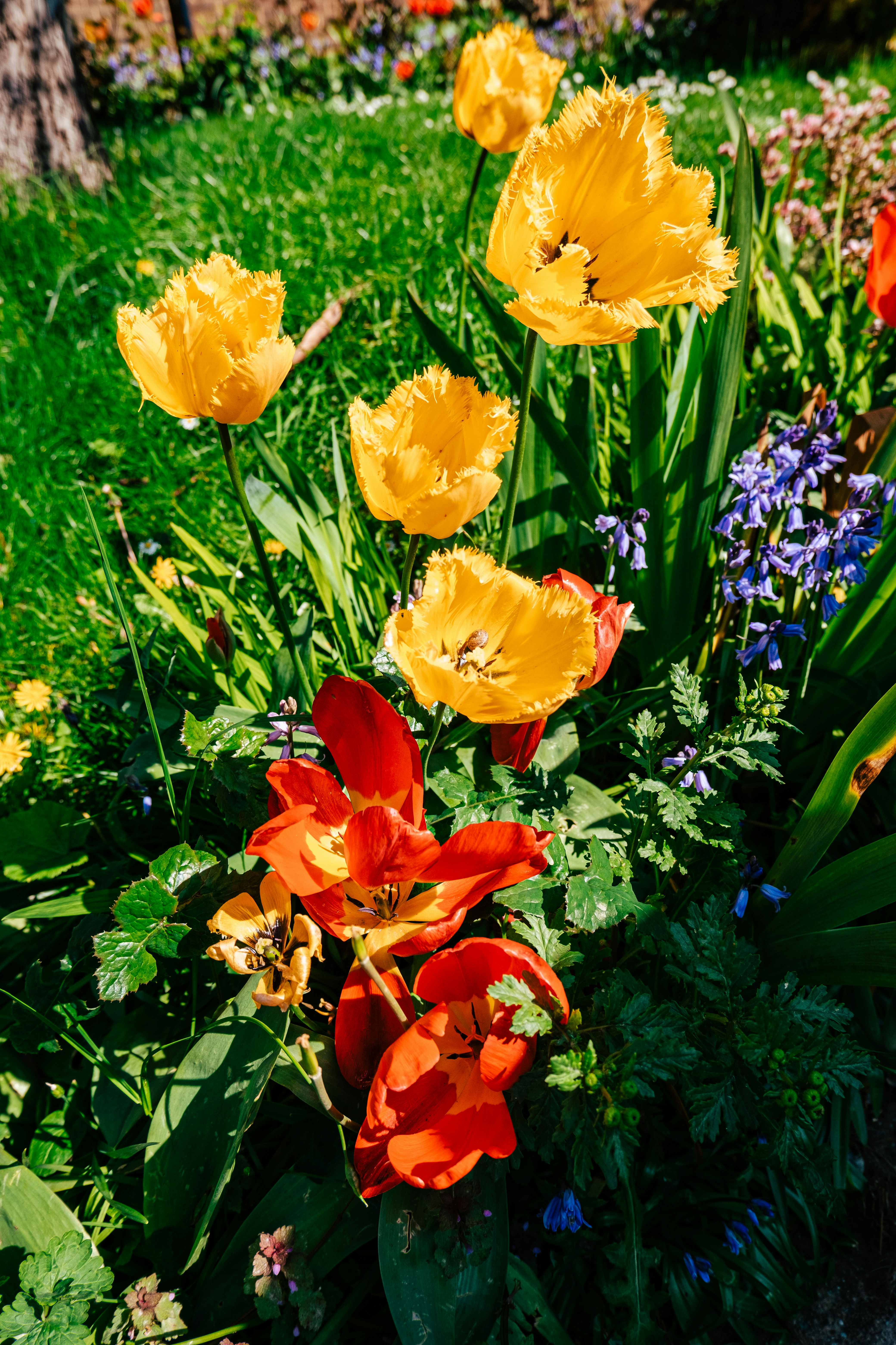 Photo by reganography