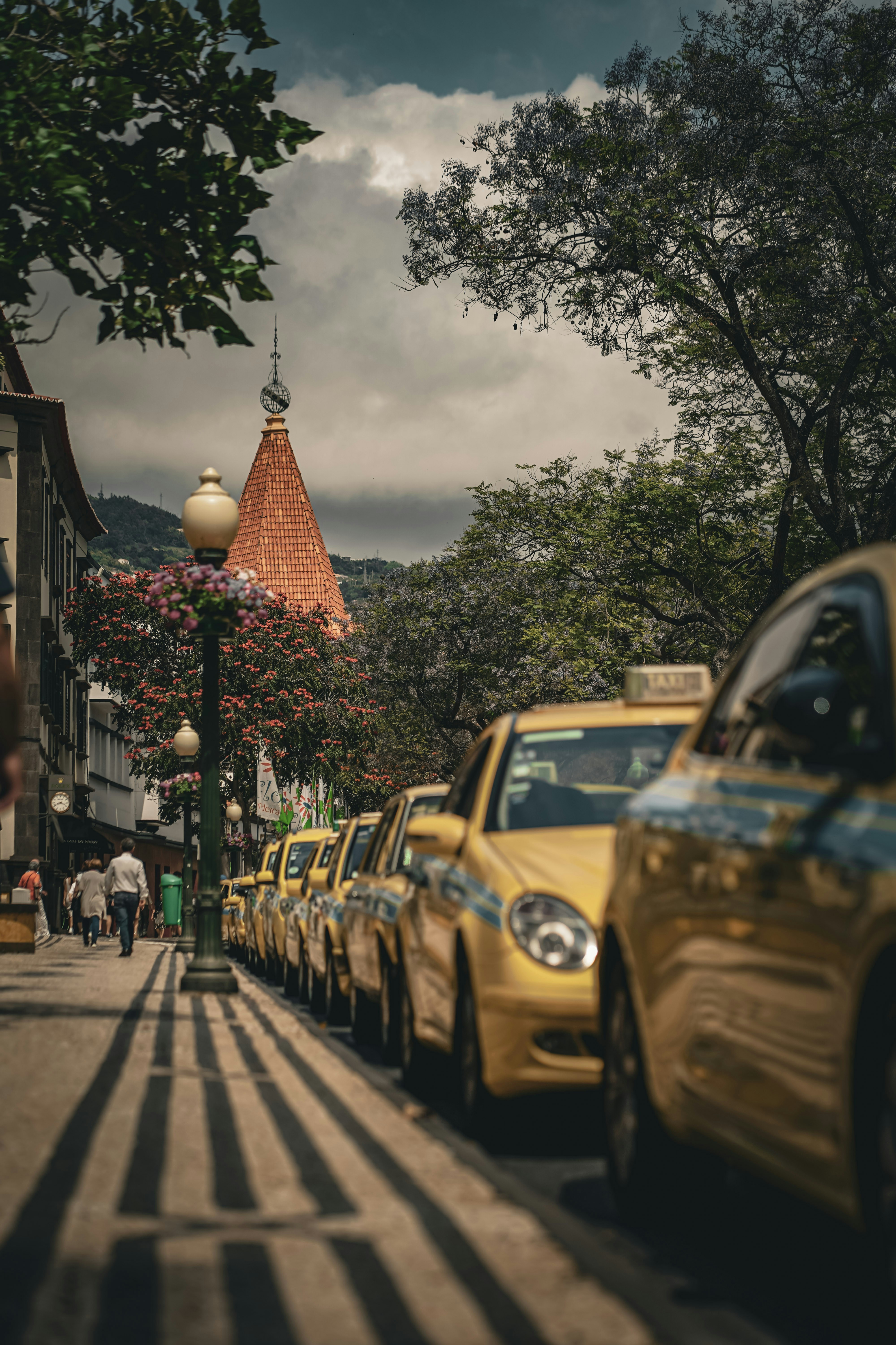 Una fila de coches aparcados en una calle de la ciudad