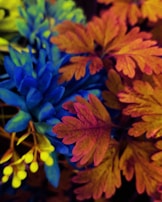 Close-up of diverse plant species documented during a biodiversity credit project.