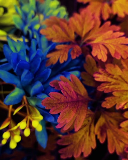 A vibrant collage showing diverse plant leaves, a colorful bird in flight, and microscopic microbes under a lens.