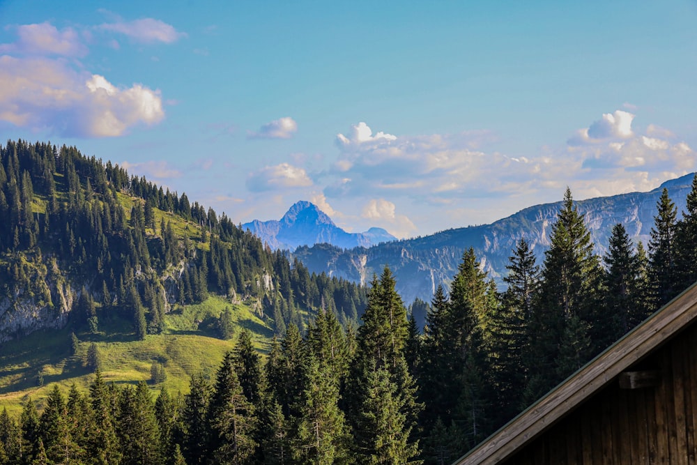 a view of a mountain range with trees in the foreground