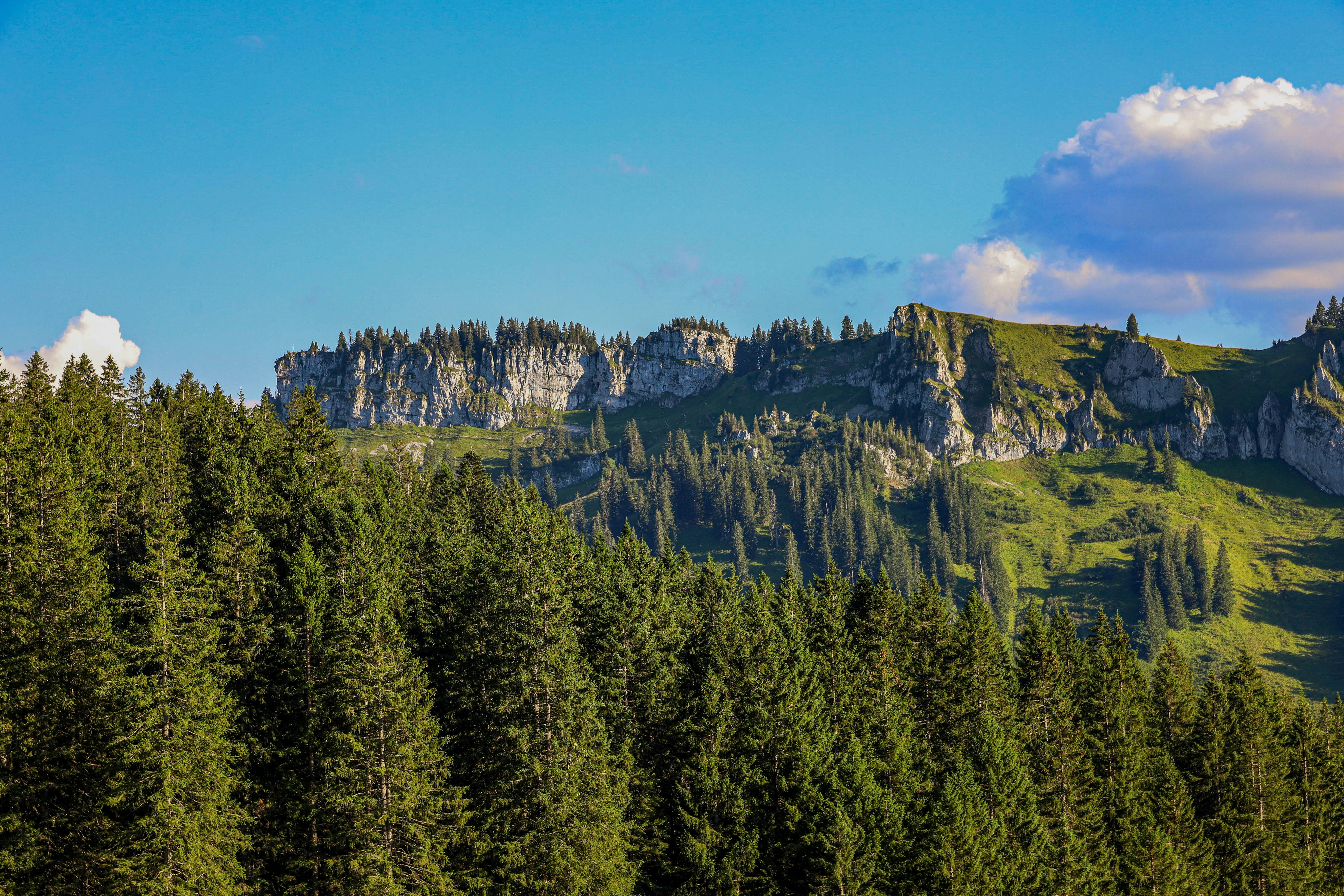 Photo by doeringphotograpy