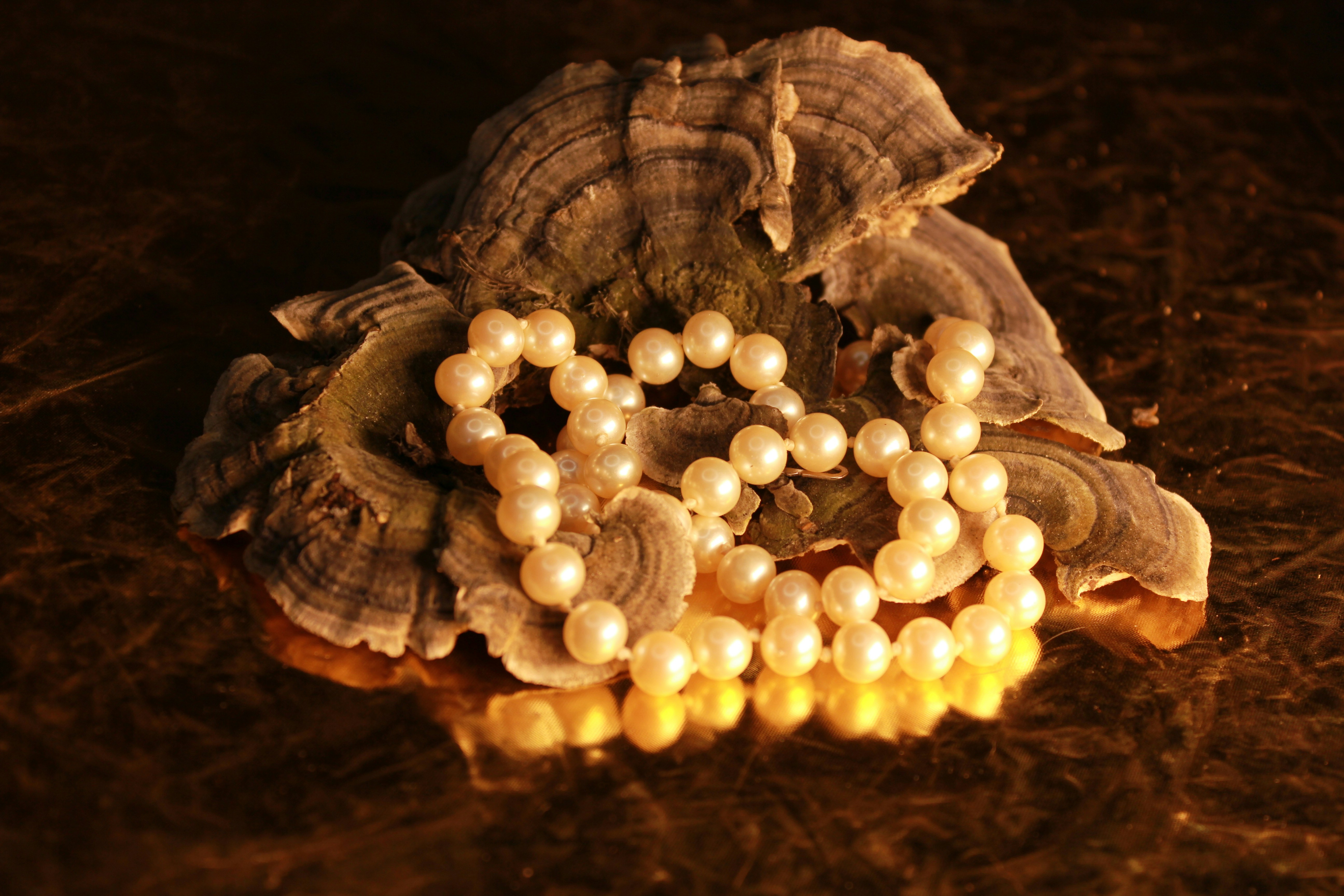 Elegant Pearl Jewelry Collection
