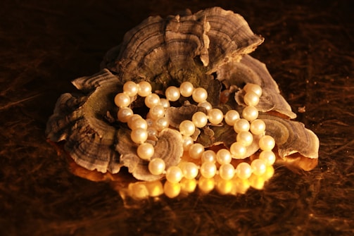 A string of pearls is elegantly draped over what appears to be a piece of textured organic material, possibly a mushroom or fungus, placed against a richly colored, dark golden-brown background. The pearls have a soft, creamy luster.