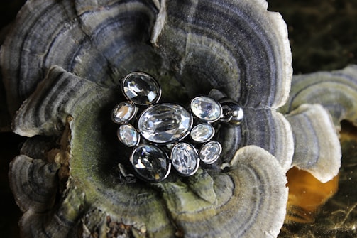A collection of sparkling gemstones arranged artistically.