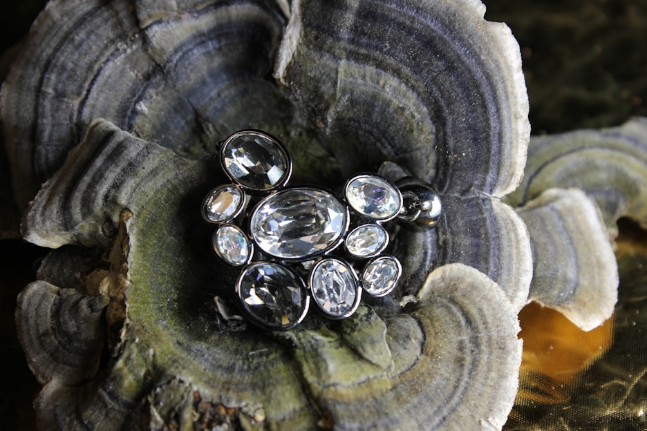 A serene arrangement of various gemstones and jewelry pieces reflecting different zodiac signs.
