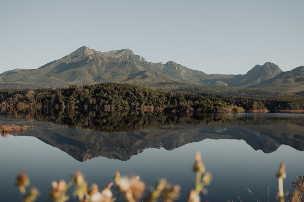 a lake with mountains in the background