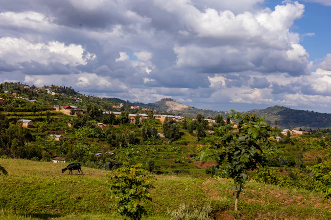 10-Day Rwanda & Uganda Budget Backpacking Itinerary
