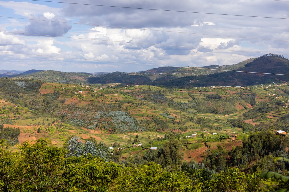 a scenic view of a valley with trees and hills in the background