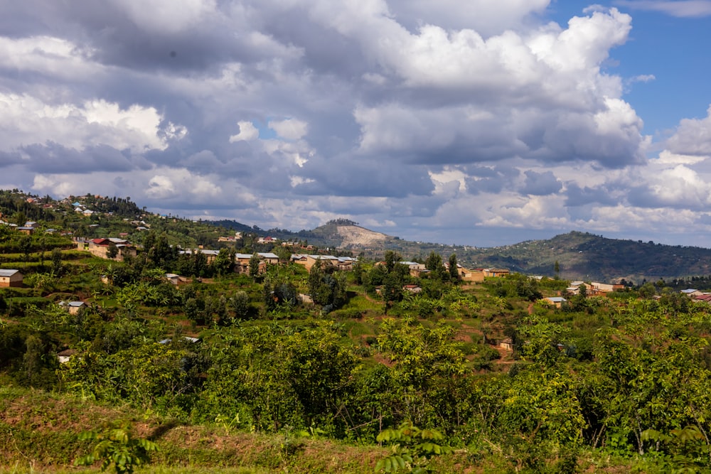 a lush green hillside covered in trees under a cloudy sky