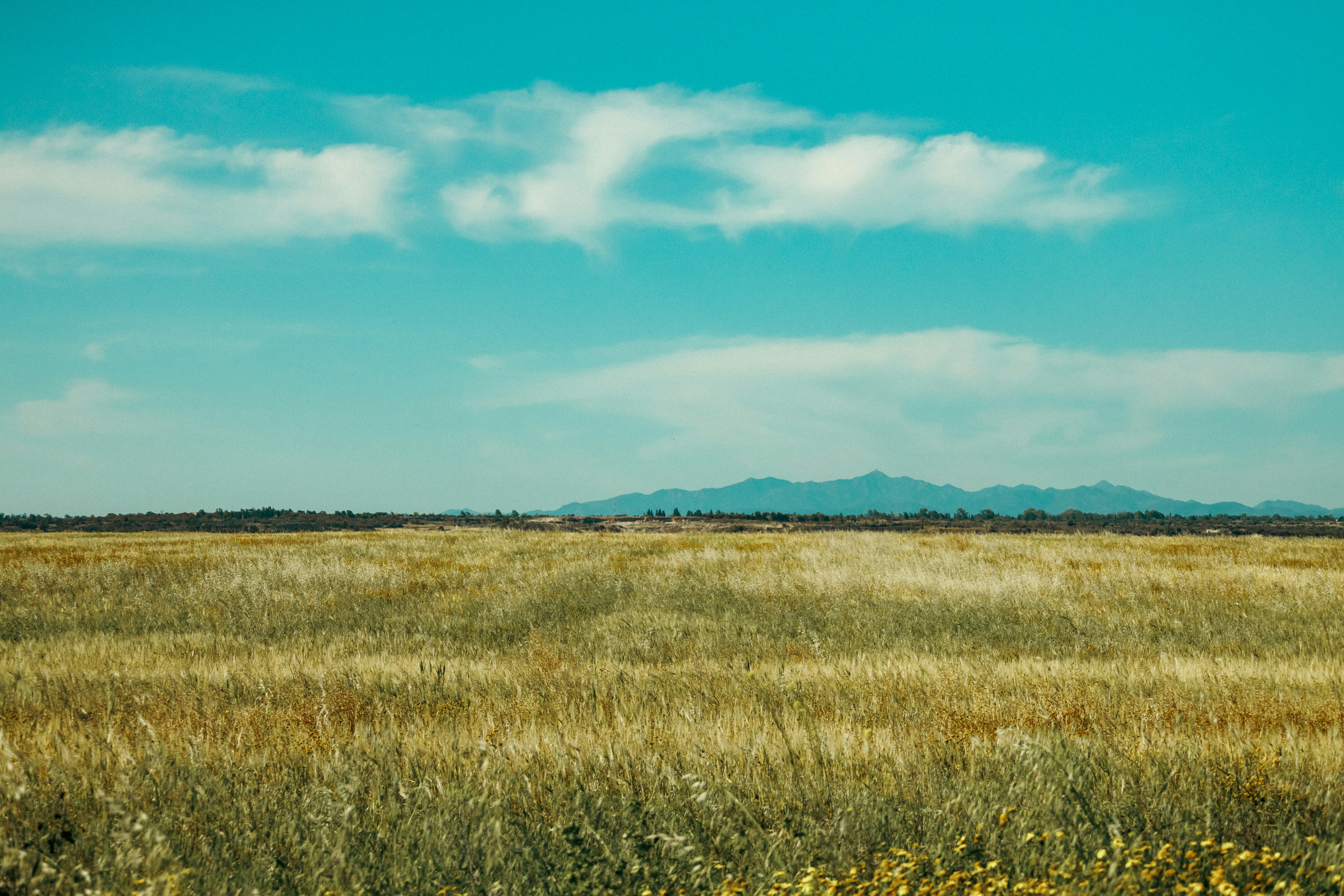 Photo by 1hundredimages