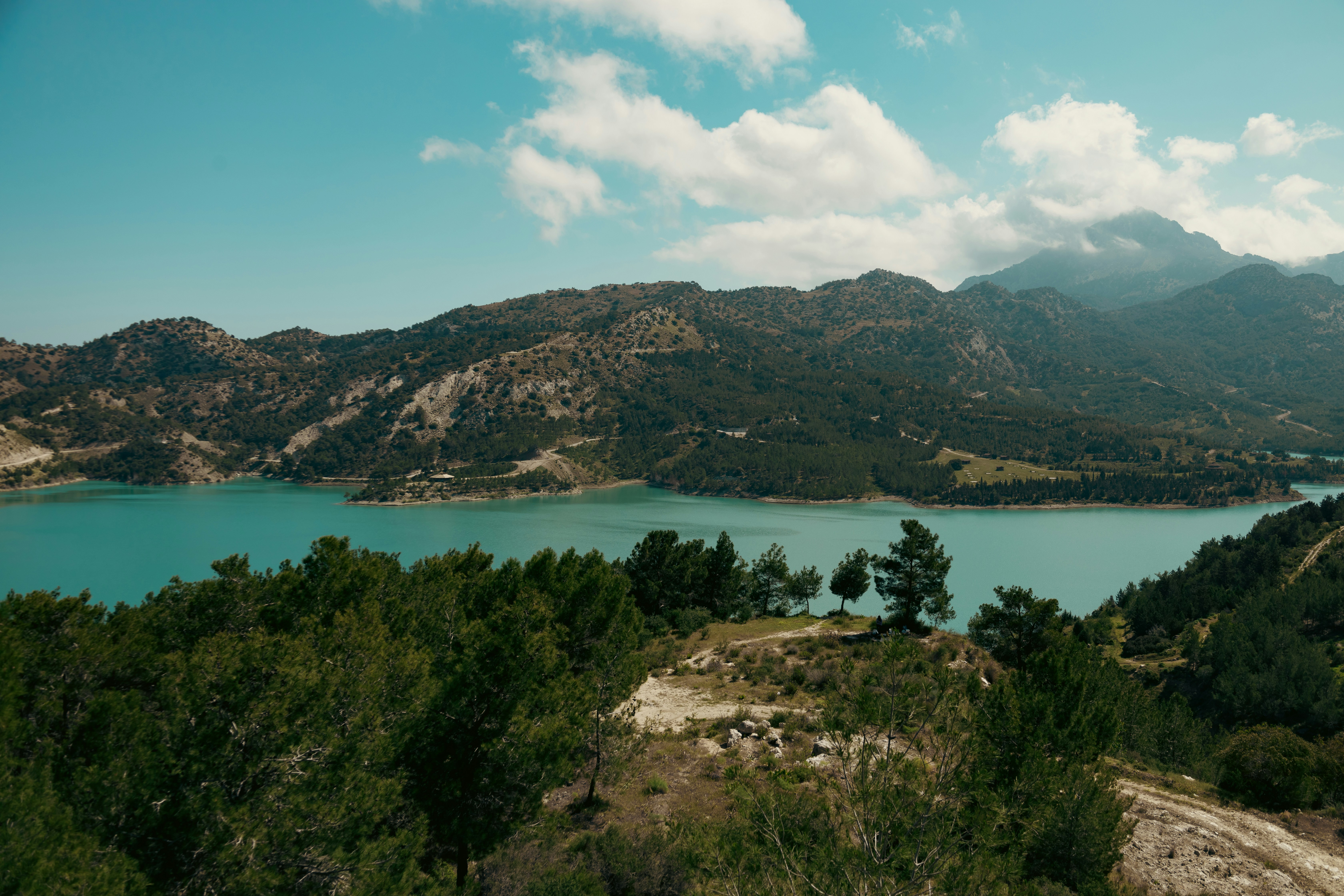 Photo by 1hundredimages