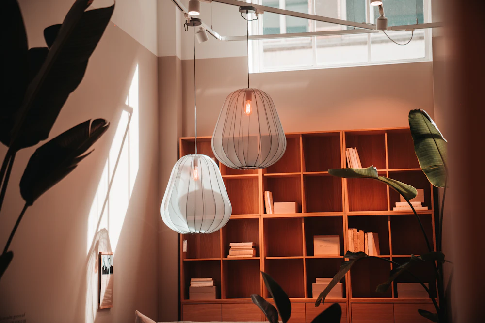 Room with bookshelf and plant