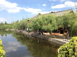 A serene exterior view of a healing practice building surrounded by green nature.