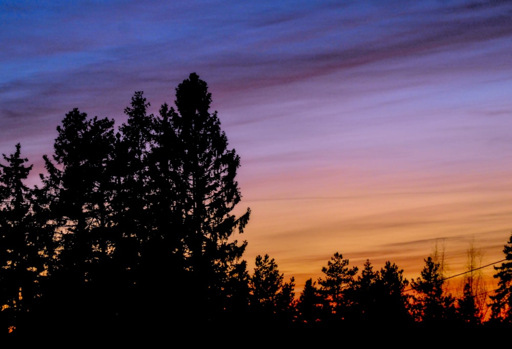 a tree is silhouetted against a colorful sky