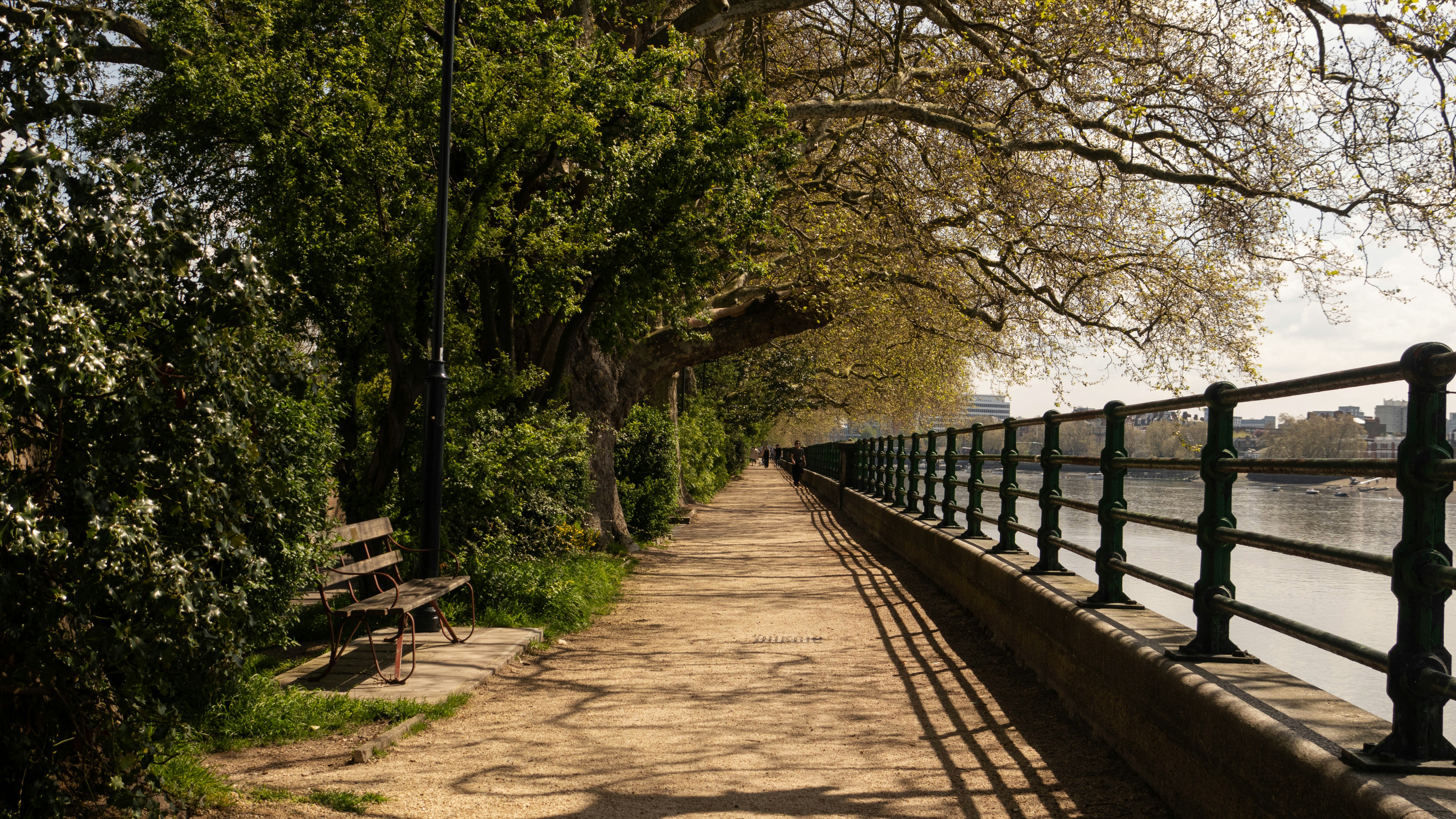 a bench sitting on the side of a road next to a river