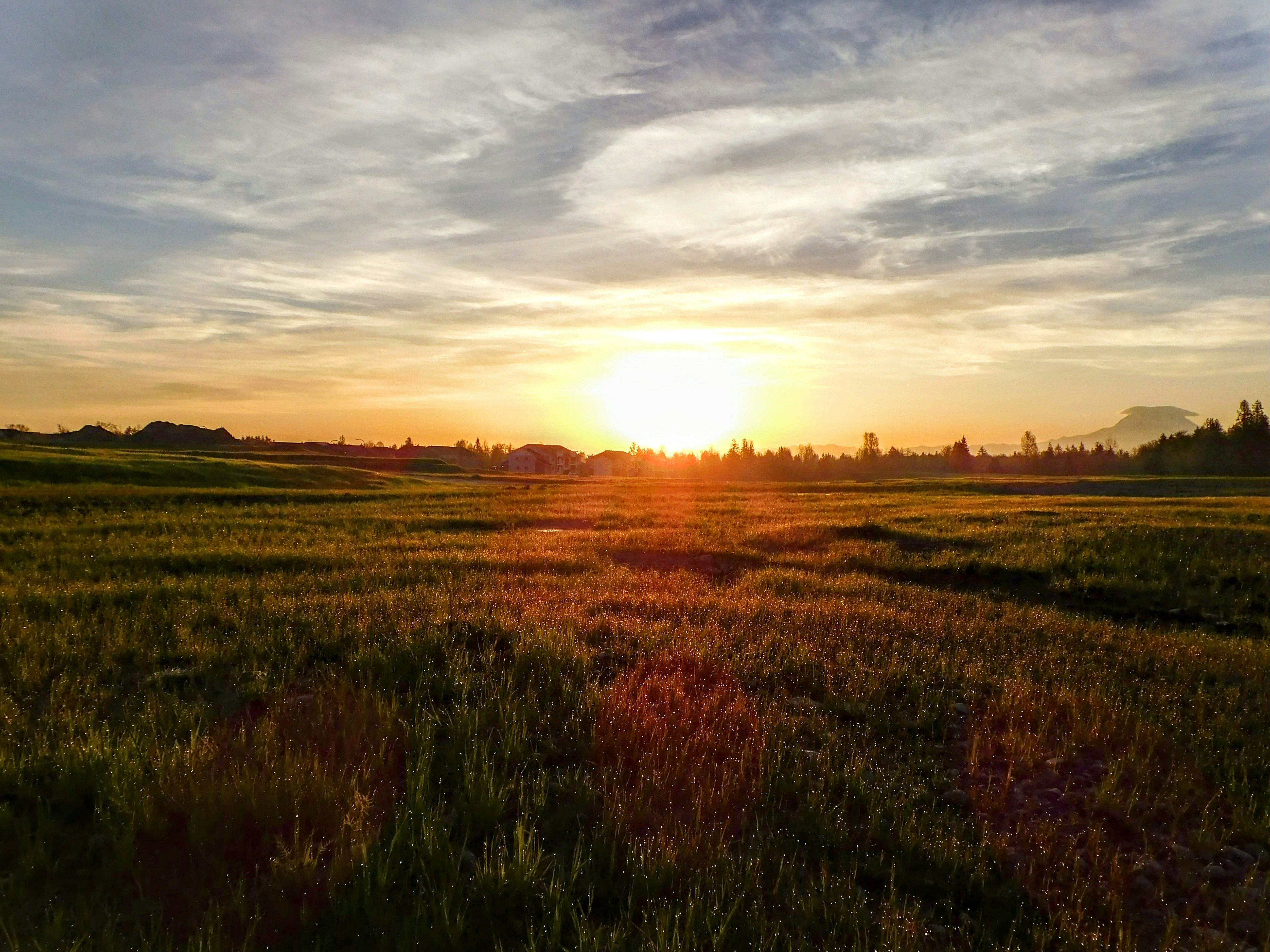 The sun is setting over a field of grass photo – Free Sunrise Image on ...