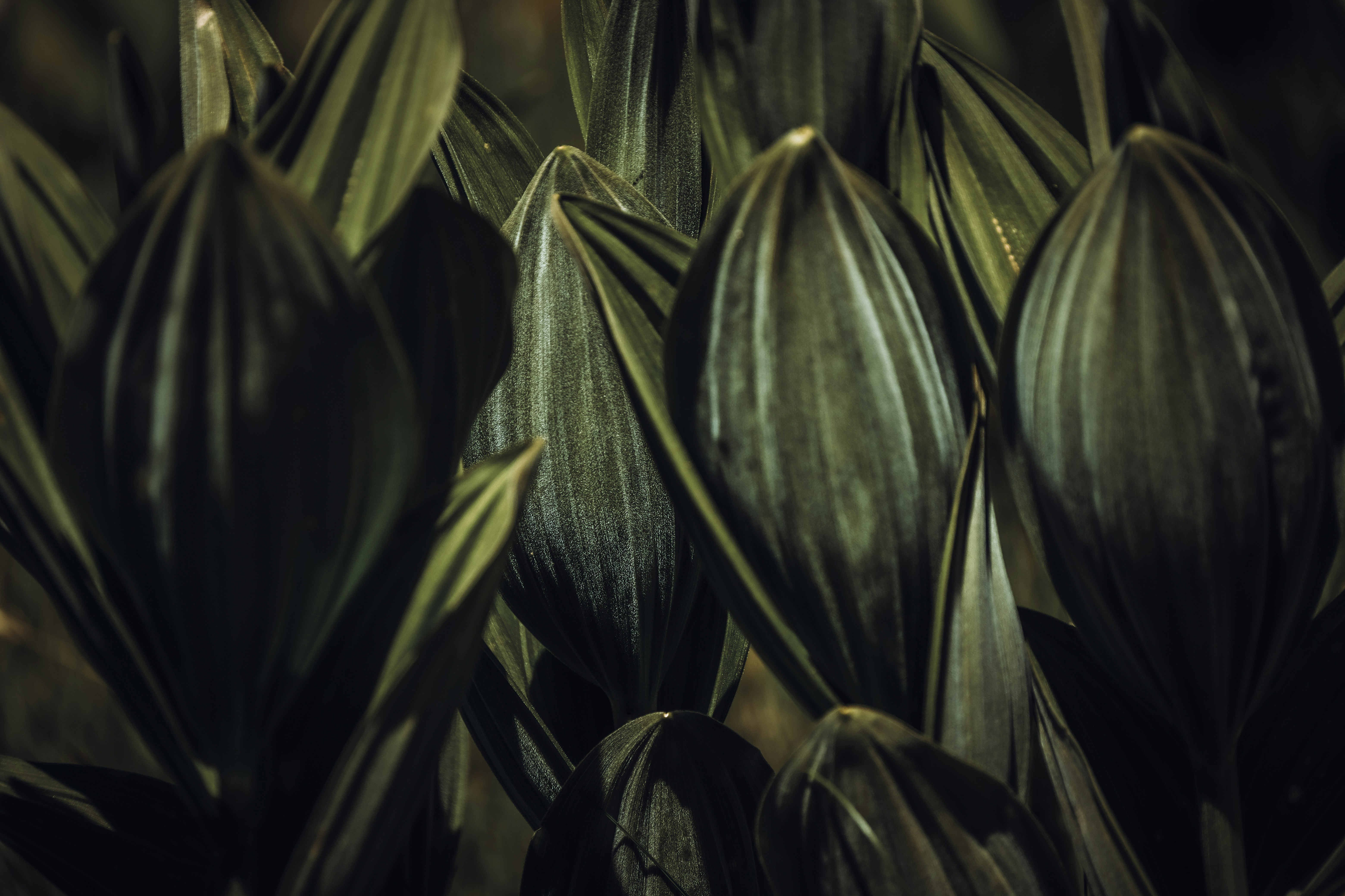 Photo by francesco_ungaro