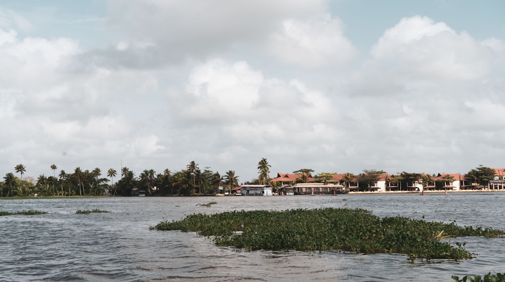 a large body of water with houses in the background