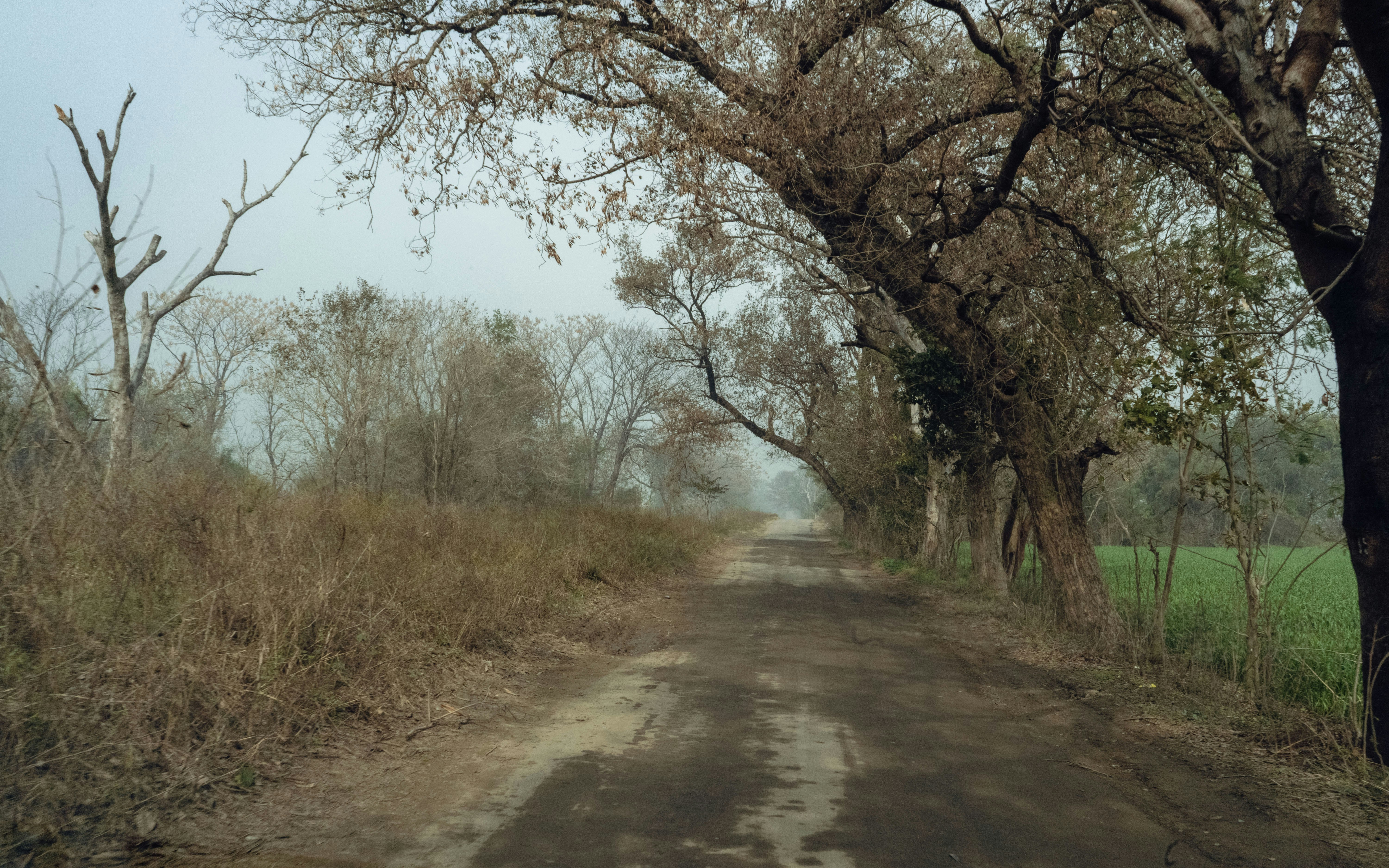 Photo by panjabseyon