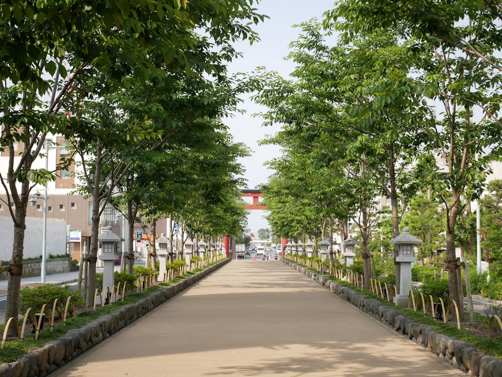 an empty street lined with trees and bushes