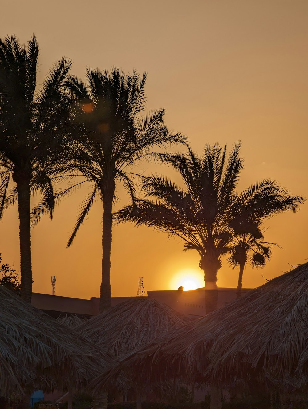 the sun is setting behind some palm trees