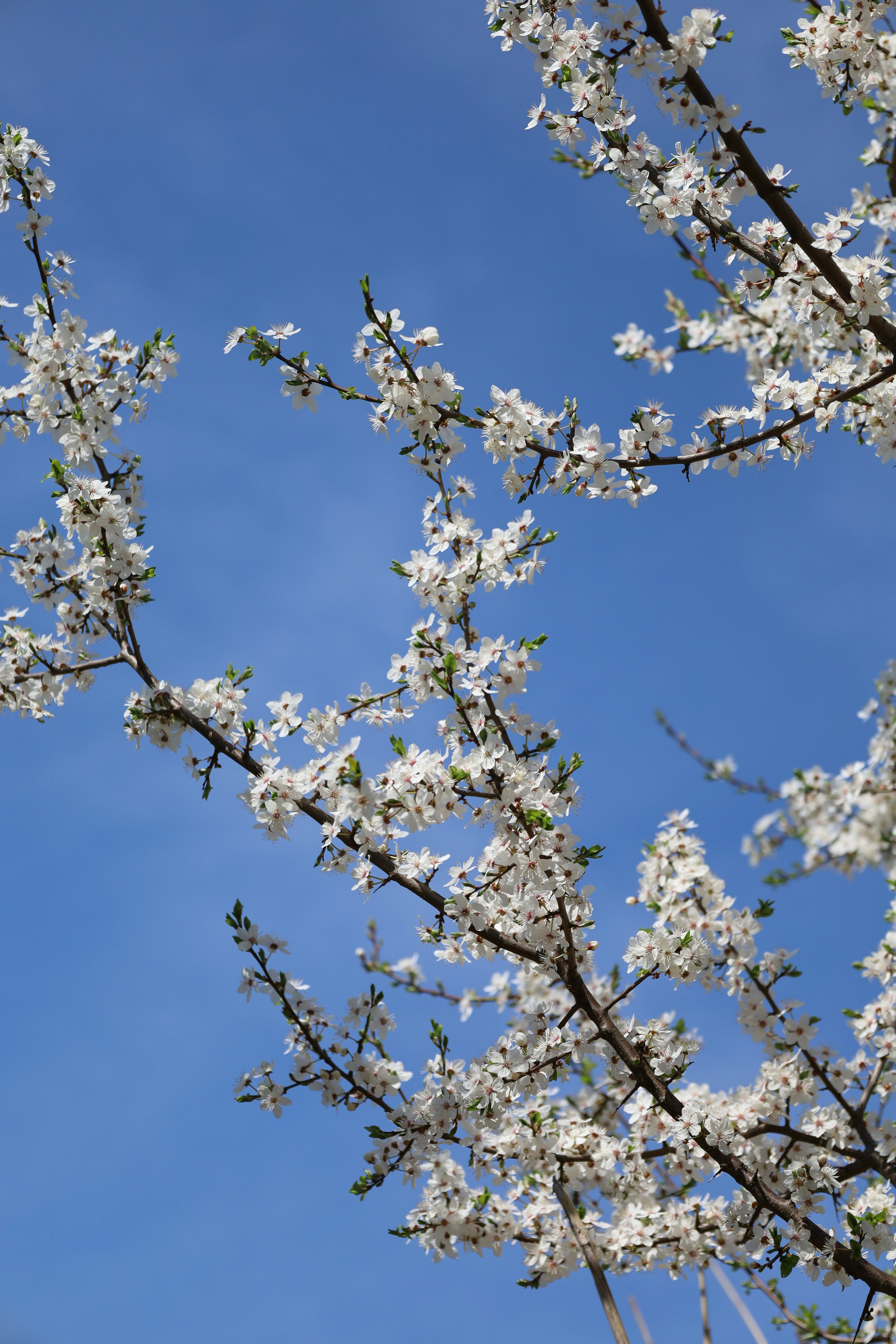 Photo by silamalychrzeczy