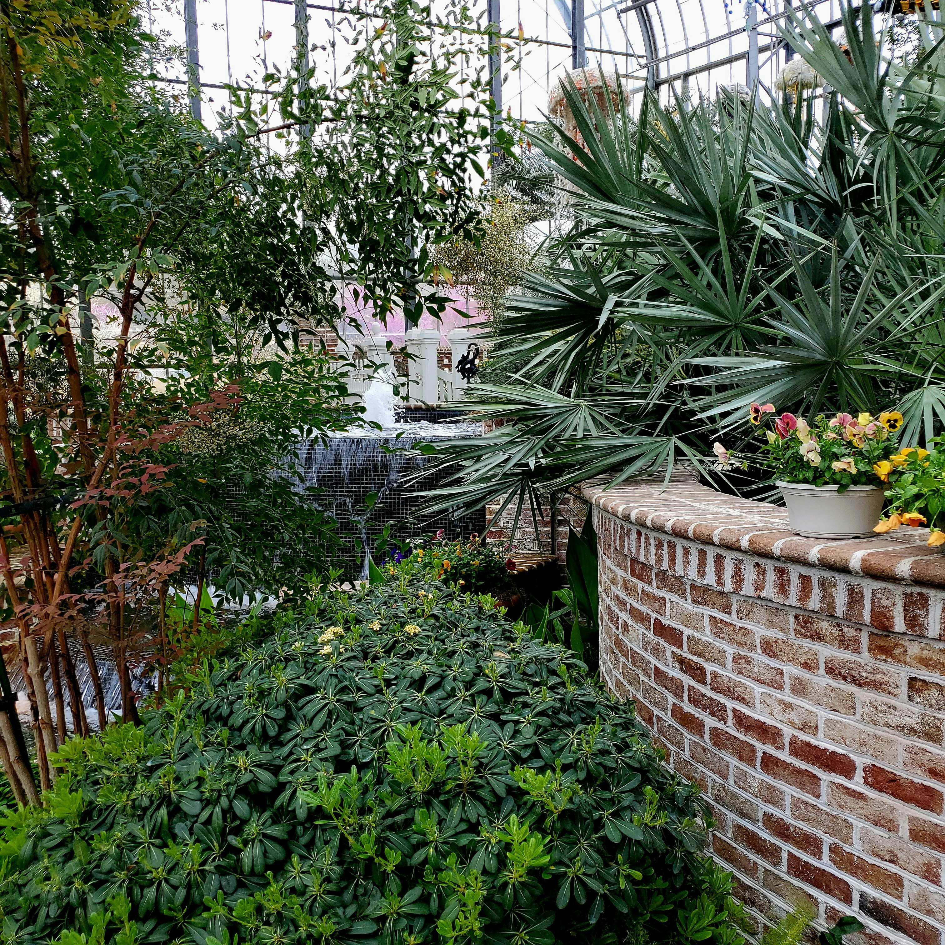 Plantas de interior y exterior