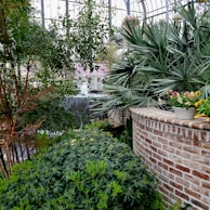 A lush indoor garden with a variety of green plants and foliage surrounding a brick planter. A small waterfall is visible in the background, adding a tranquil element to the setting. Potted flowers with colorful blooms are placed on the brick structure, enhancing the vibrant atmosphere.