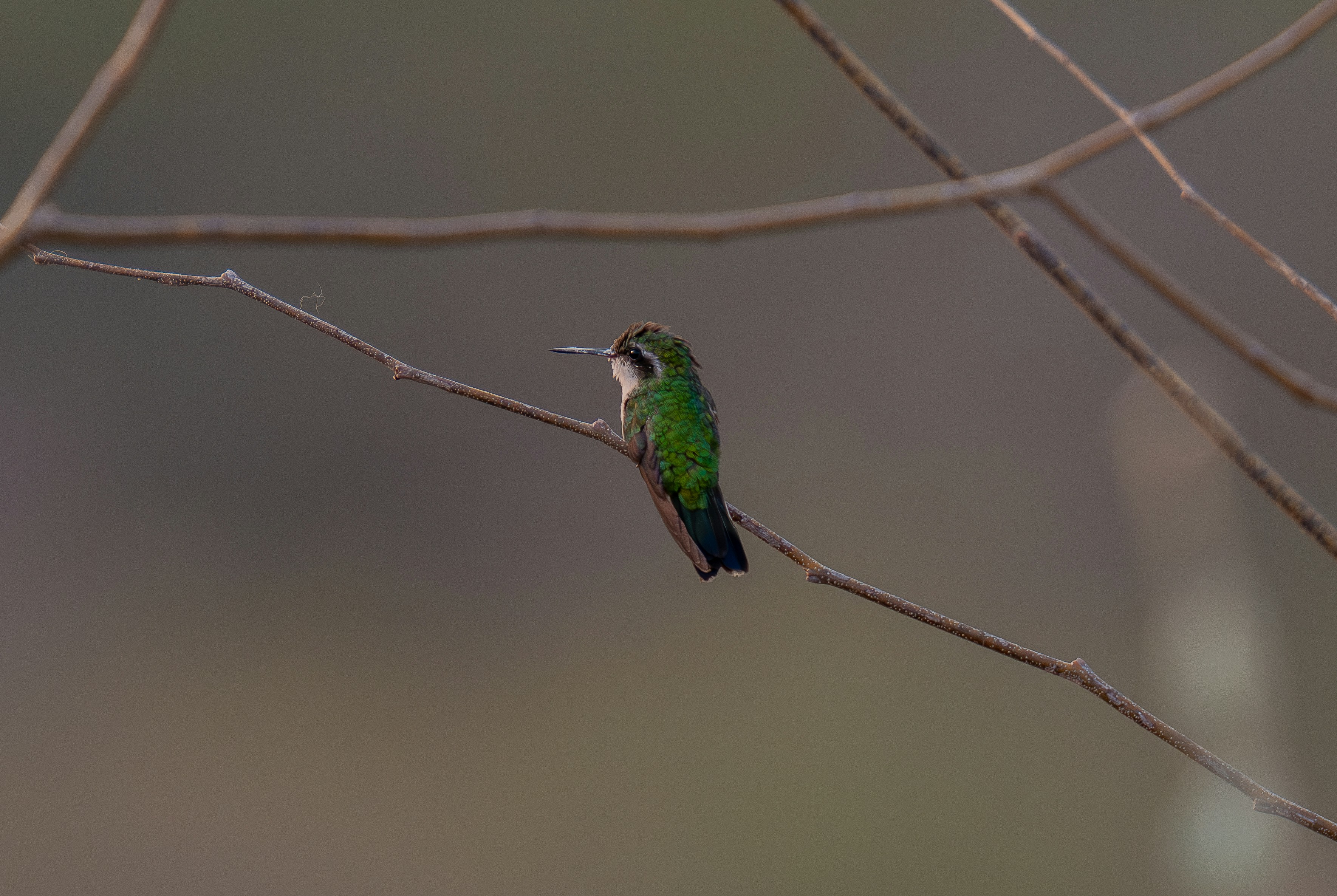 Photo by huntermastersmusic