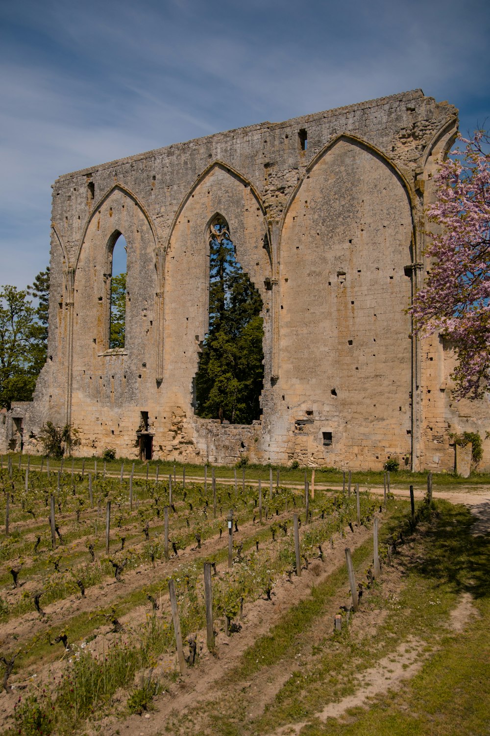 un grand bâtiment en pierre avec un arbre devant lui