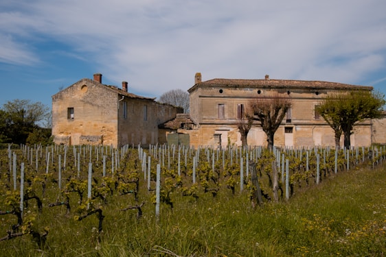 An old stone building with a tiled roof is situated amidst a vineyard. The vines are neatly arranged in rows, and the surrounding grass is lush and green. The sky is mostly blue with some white clouds, suggesting a clear day. The building's weathered exterior and traditional architecture give it a rustic charm.