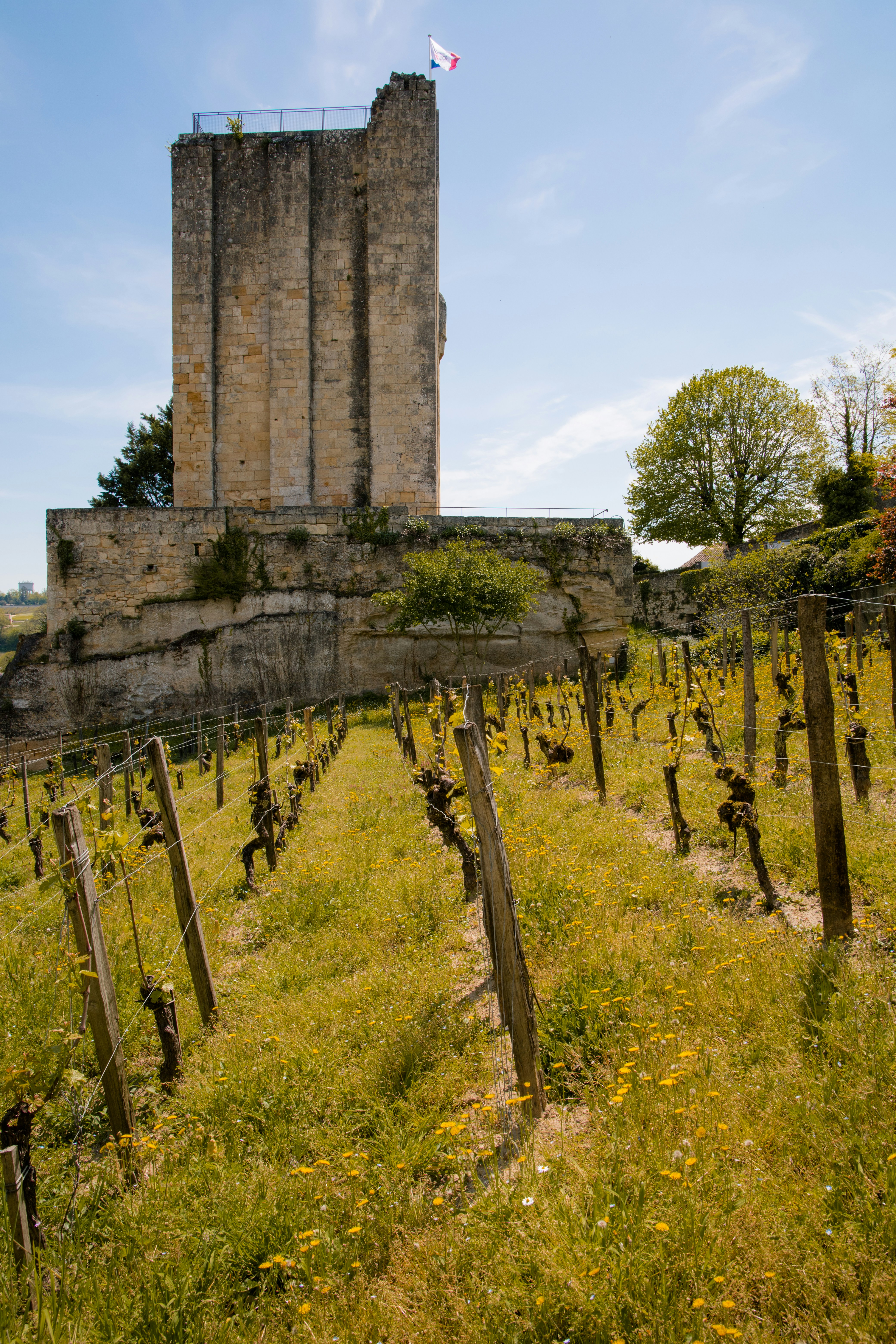 a tall building sitting on top of a lush green field