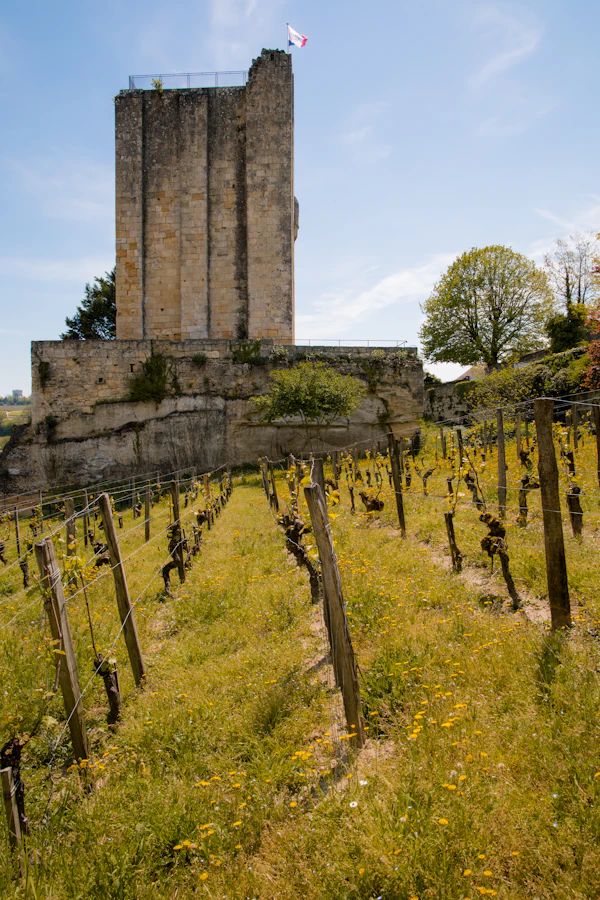 Dégustation dans un vignoble