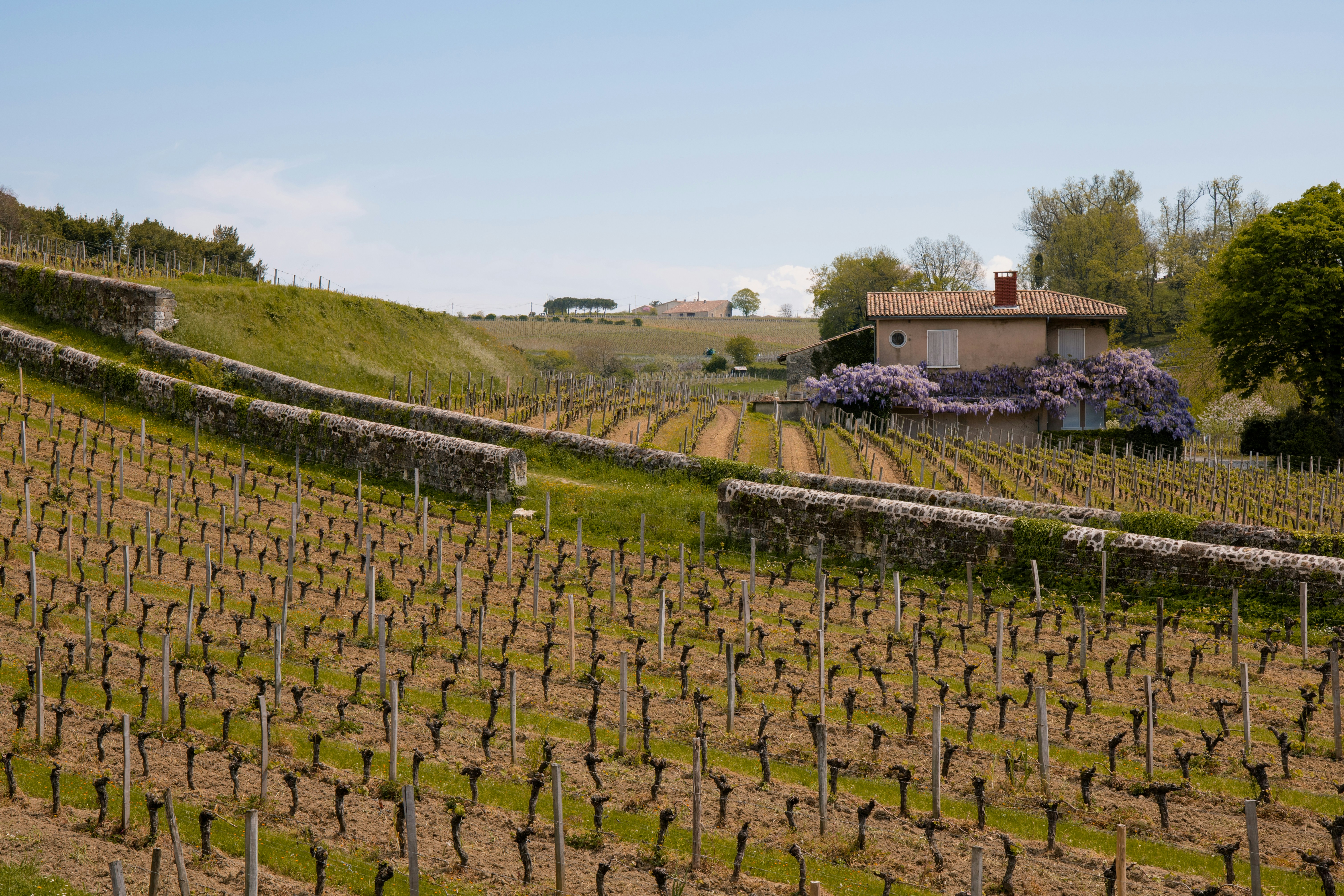 a house on a hill surrounded by trees