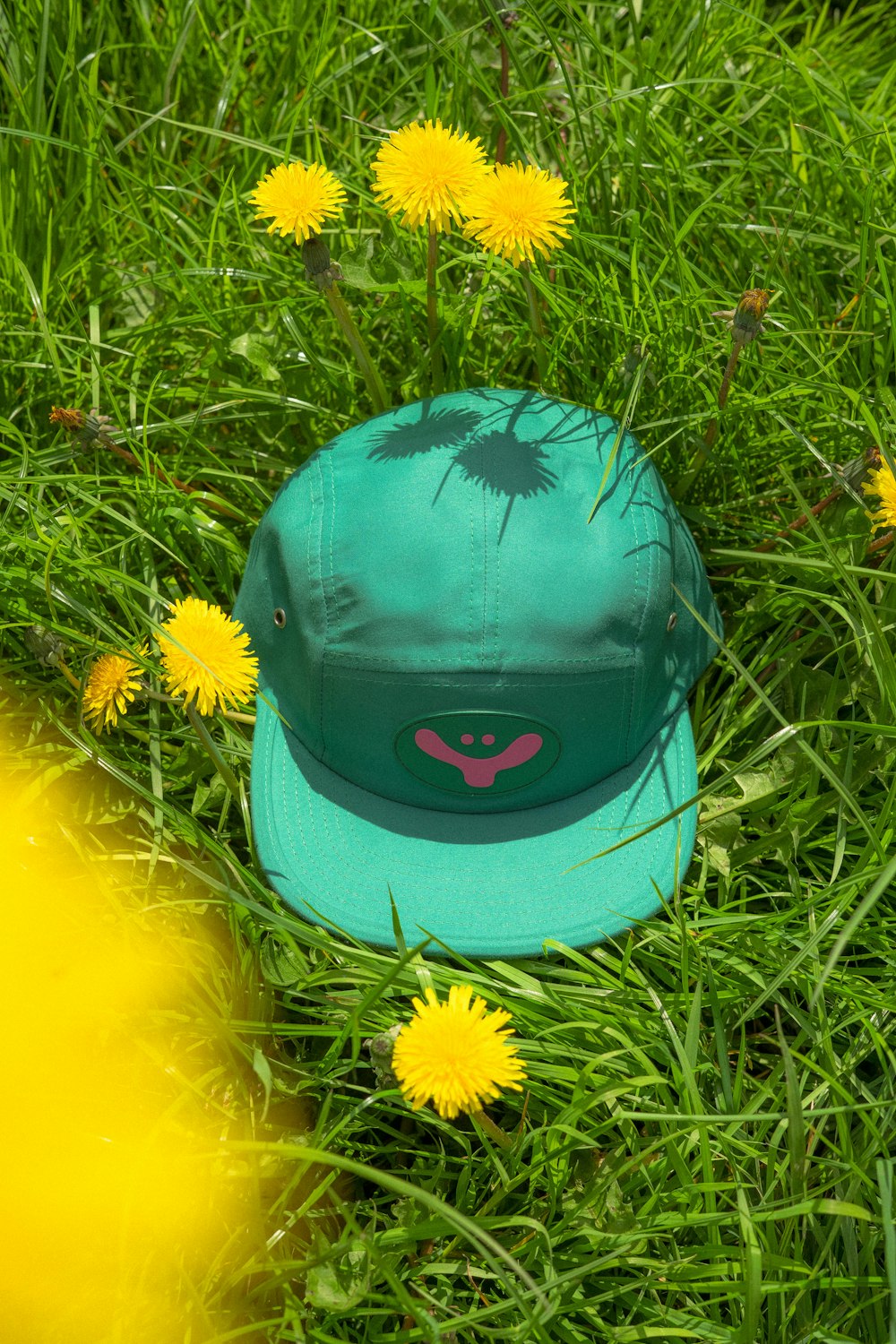 a hat laying in the grass with dandelions around it