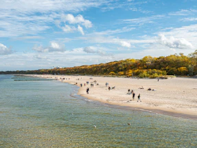 a group of people standing on top of a sandy beach