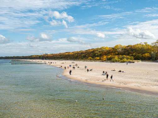 a group of people standing on top of a sandy beach