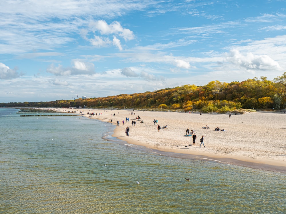 a group of people standing on top of a sandy beach