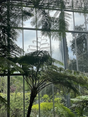 A lush indoor garden filled with tall ferns and greenery, set against large glass windows that allow natural light to illuminate the space. The foliage creates a serene and verdant atmosphere, with various shades of green visible throughout the scene.